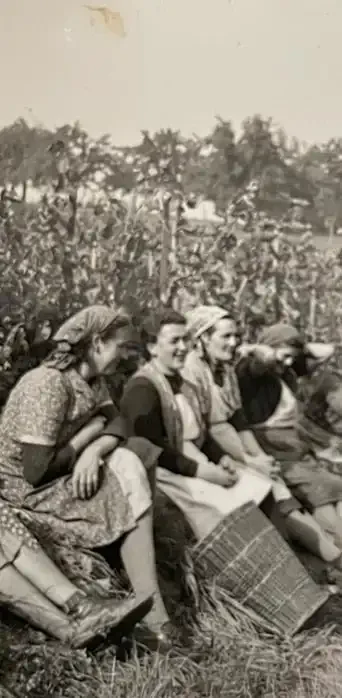 Frauen in traditioneller Kleidung sitzen in einem Weinberg mit einem Korb.