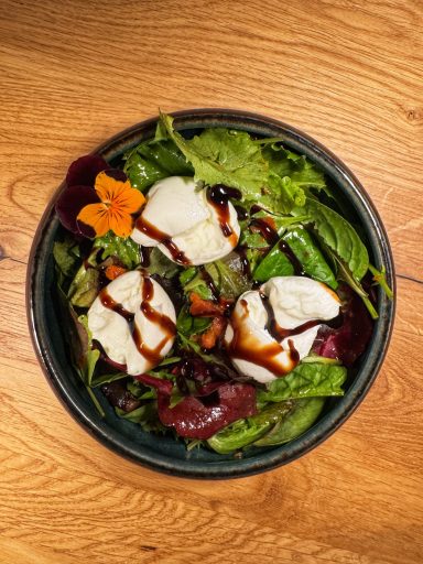 Drei Mozzarellakugeln auf einem Bett aus frischem Salat mit Balsamicoglasur und essbarer Blüte.