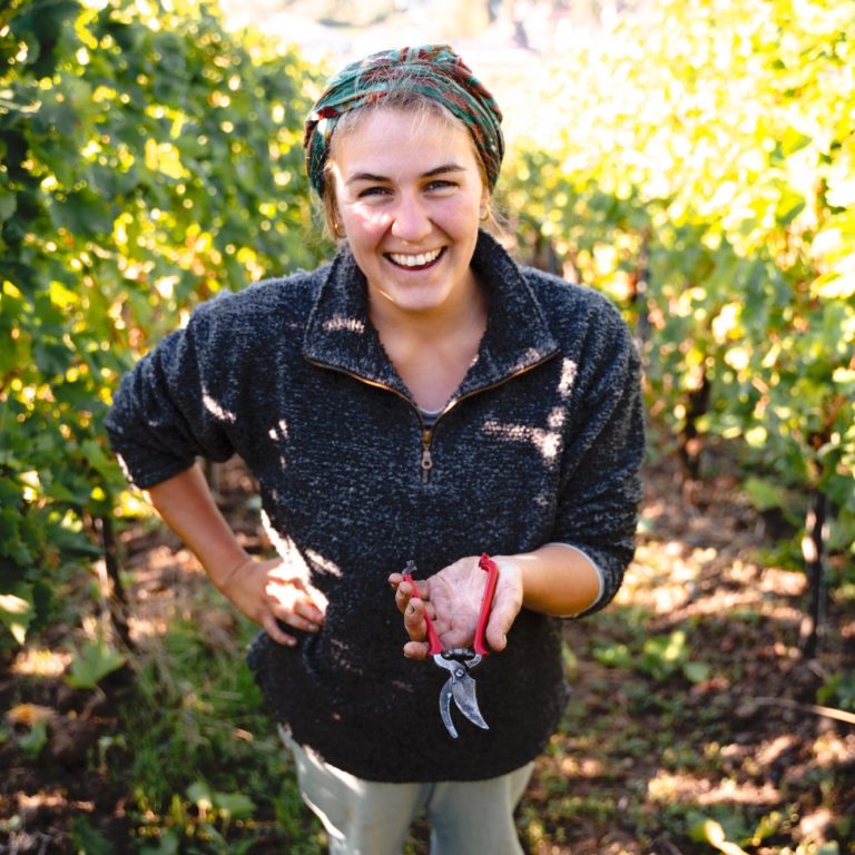 Weintasting-Ankündigung für Weingut Seyffer in Kassel am 20. Mai 2025.