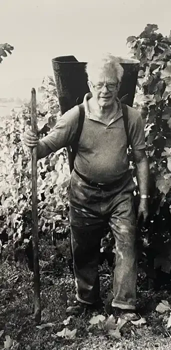 Älterer Mann mit Korb und Stock, der durch Weinreben geht.
